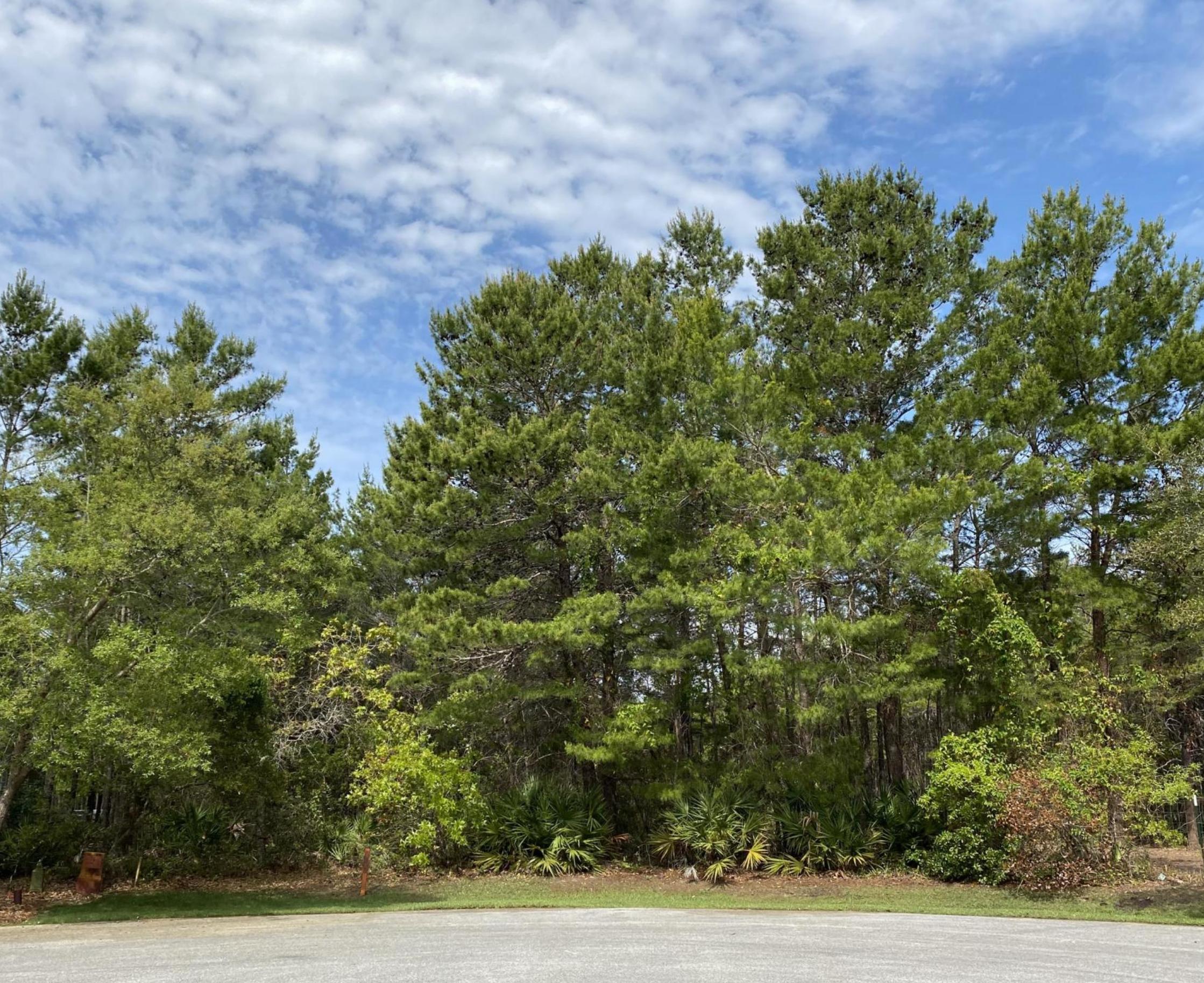 Lot 8 Chance Ln Inlet Beach Inlet Beach, FL 32461 - Photo 7 of 16 7
