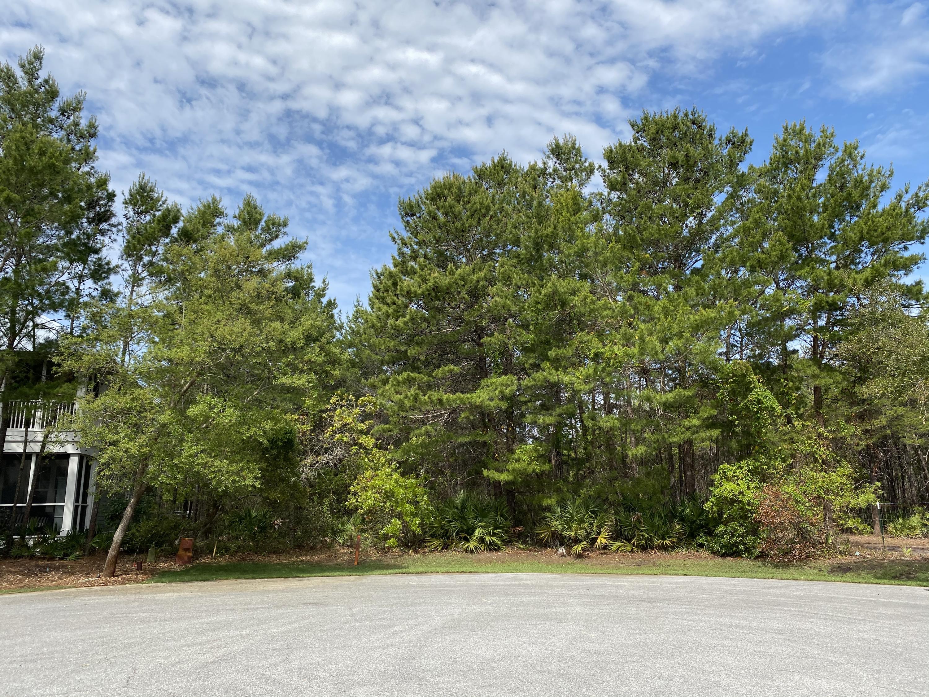 Lot 8 Chance Ln Inlet Beach Inlet Beach, FL 32461 - Photo 8 of 16 8