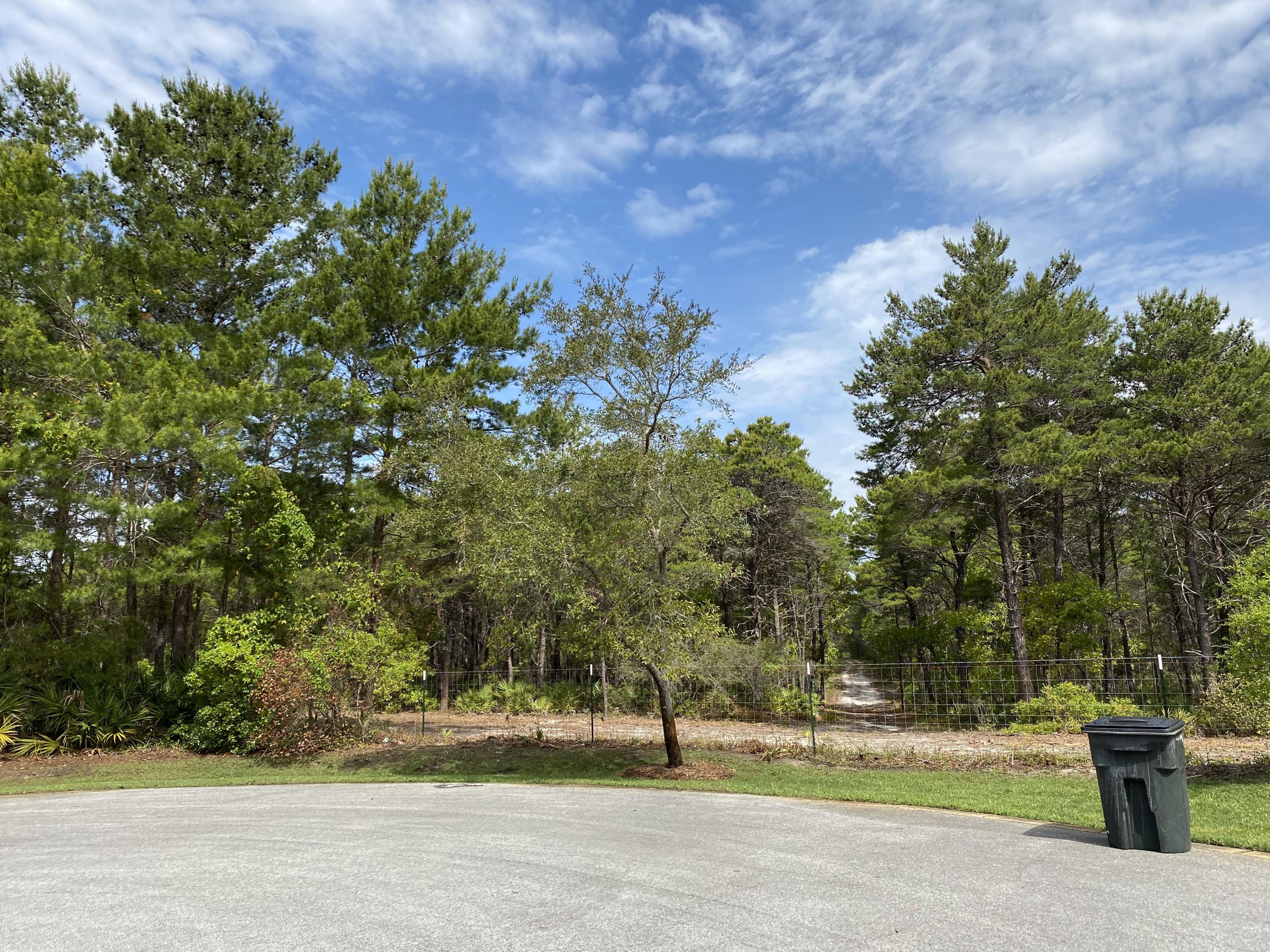 Lot 8 Chance Ln Inlet Beach Inlet Beach, FL 32461 - Photo 9 of 16 9