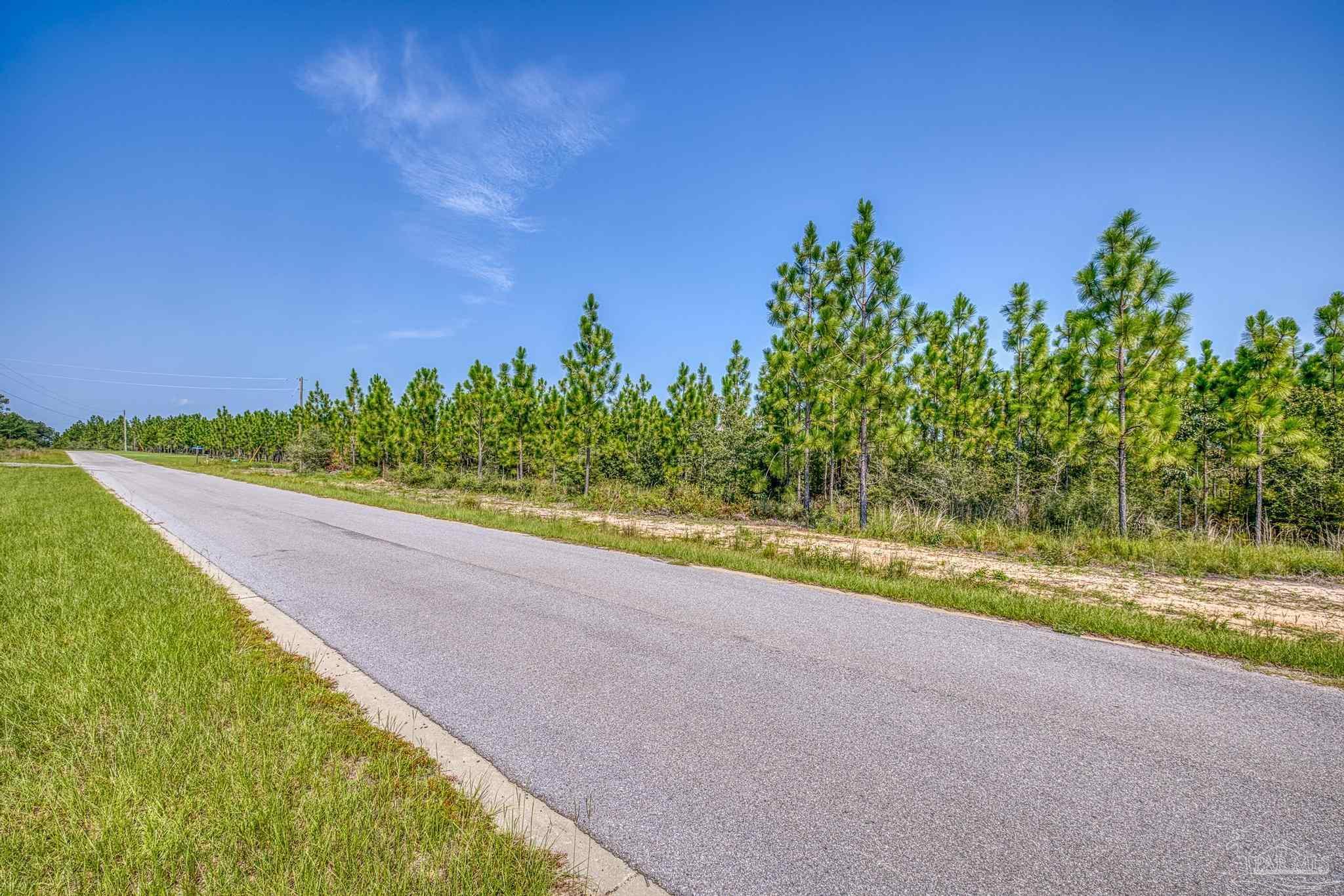 Lot 8 Southwest Waterfall Street Pace, FL 32571 - Photo 13 of 21 Gallery Image 13