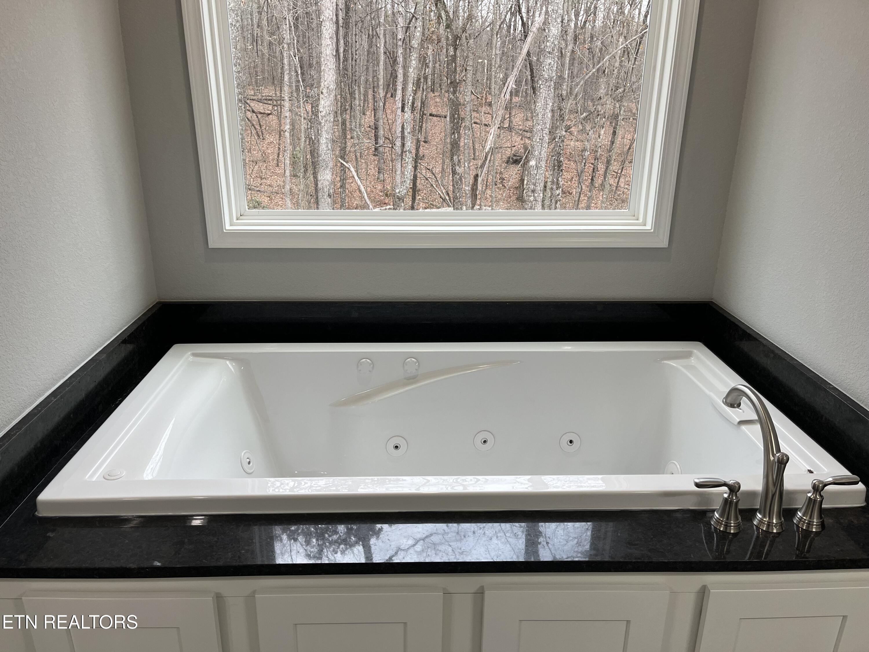 833 Sawmill Road Monterey, TN 38574 - Photo 23 of 30 Master Soaking Tub