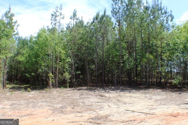 1224 Snow Hill Road Cadwell, GA 31009 - Photo 9 of 11