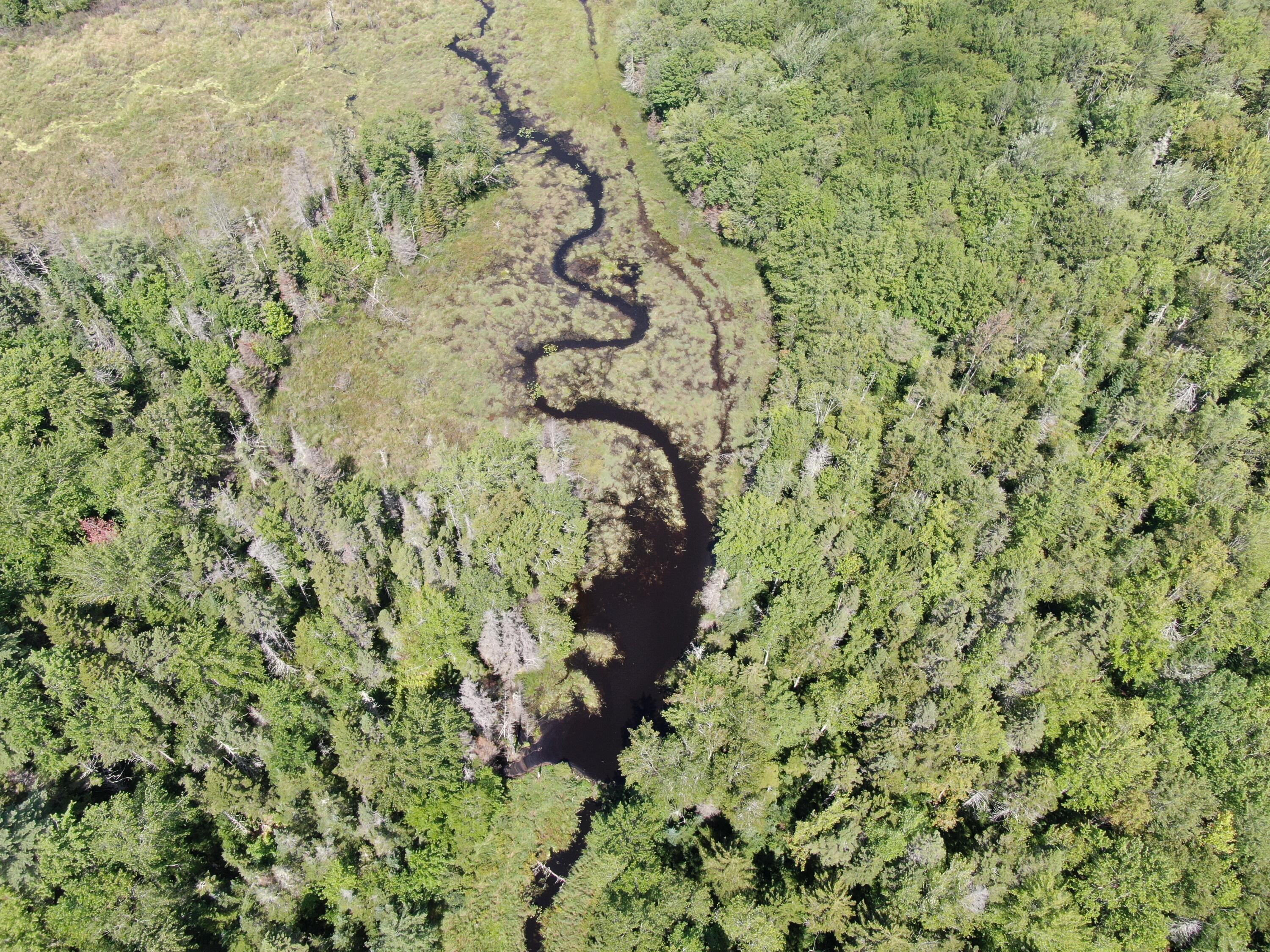 0 Ahola Road Cushing, ME 04563 - Photo 5 of 21 DJI_0547