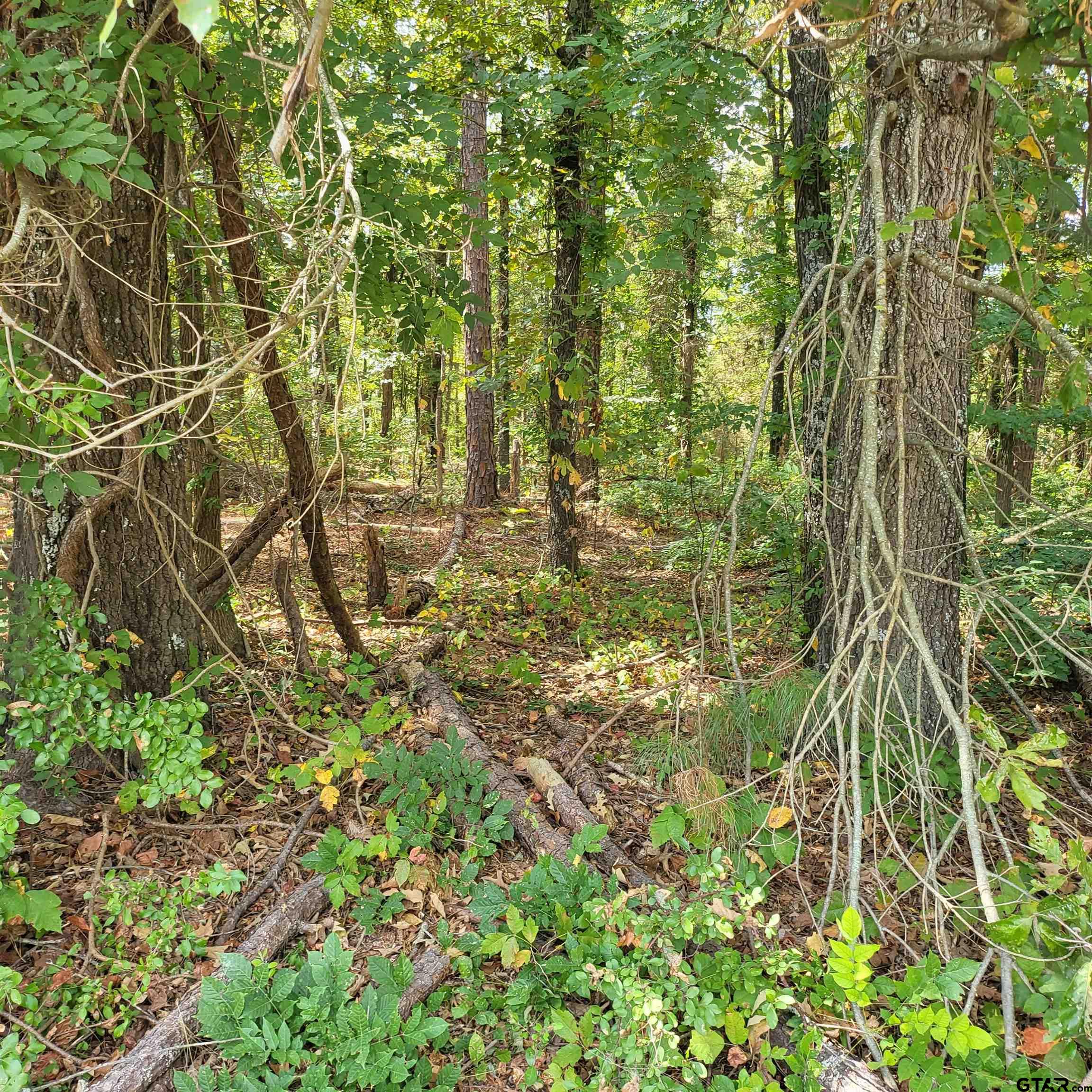 18275 C R 237 Winona, TX 75792 - Photo 1 of 2