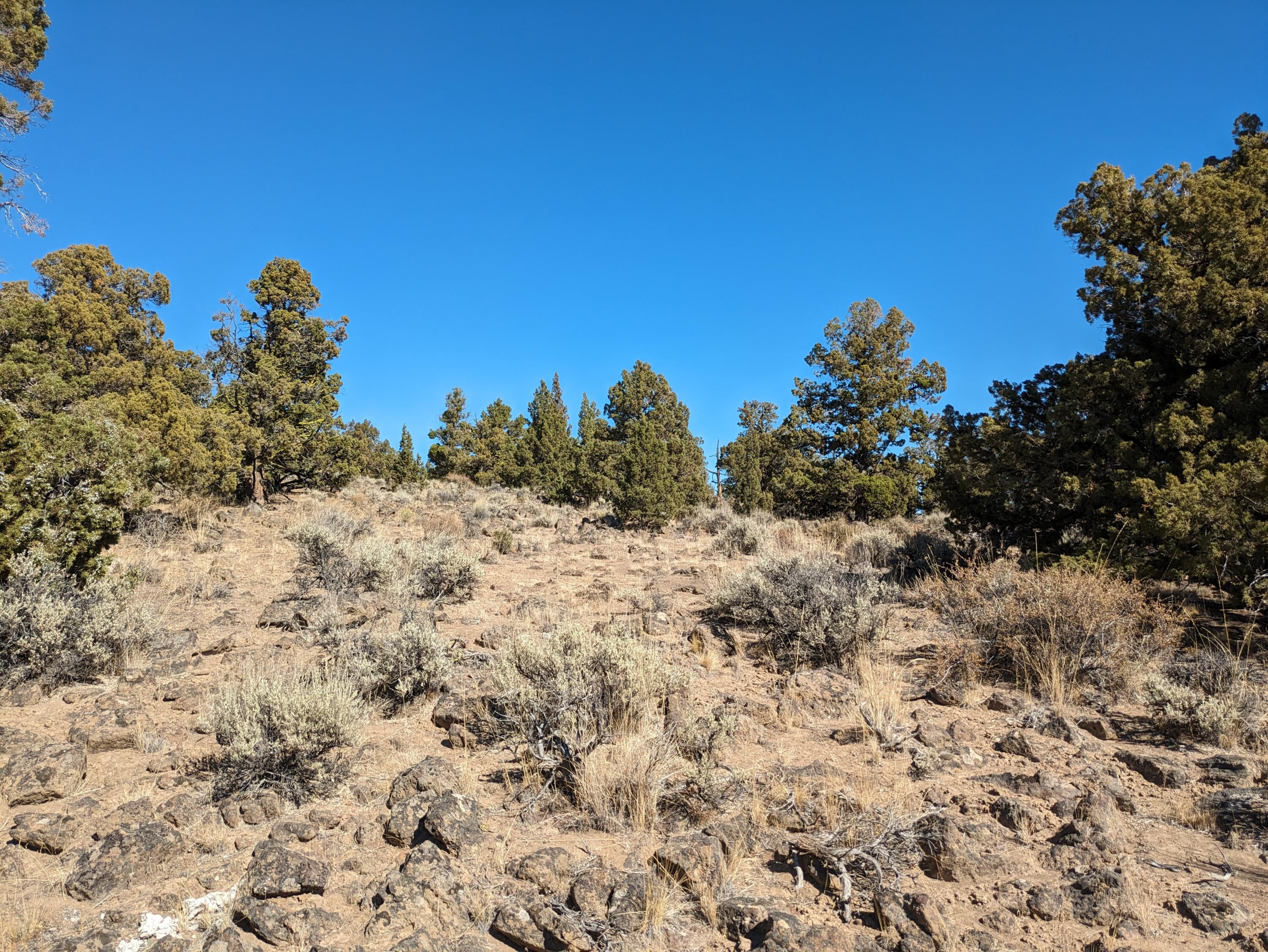 Goldenview Ranch Bend, Unit 200 Bend, OR 97701 - Photo 4 of 20 varied terrain, trees and rock outcroppings