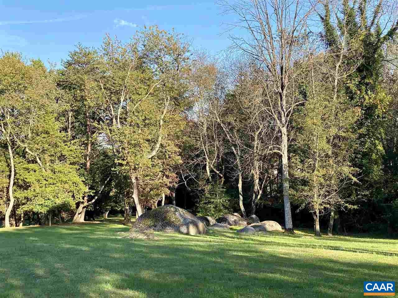 Lot 12 Buck Road Ruckersville, VA 22968 - Photo 3 of 13 Gallery Image 3