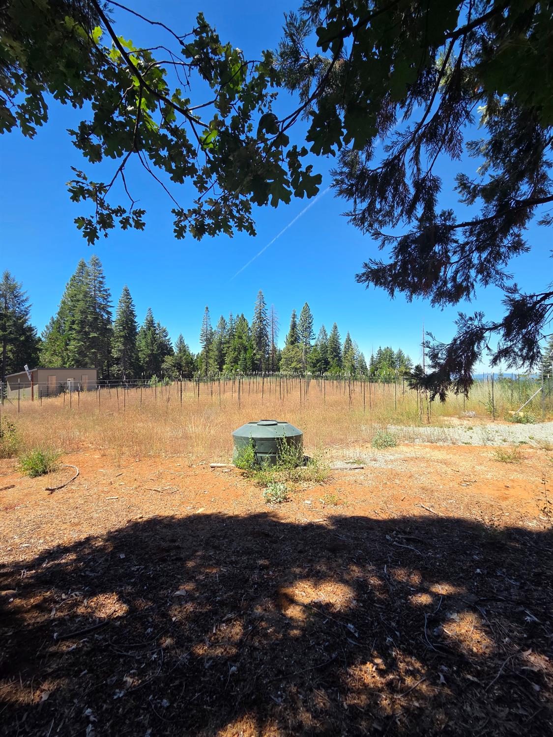 23133 Back Bone Road Nevada City, CA 95959 - Photo 22 of 33 Gallery Image 22