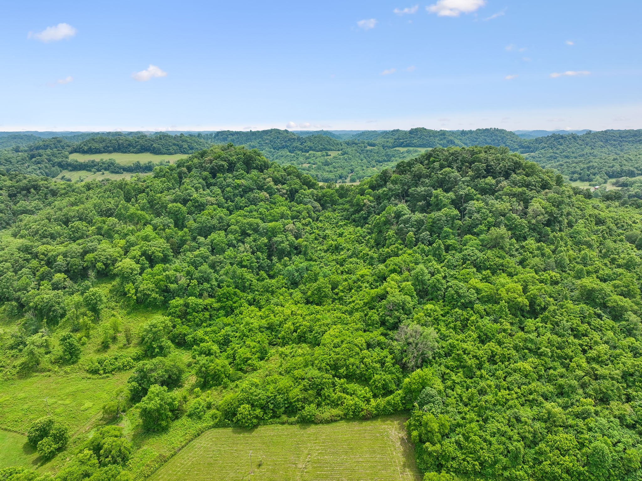 0 Little Salt Lick Creek Road Carthage, TN 37030 - Photo 17 of 17