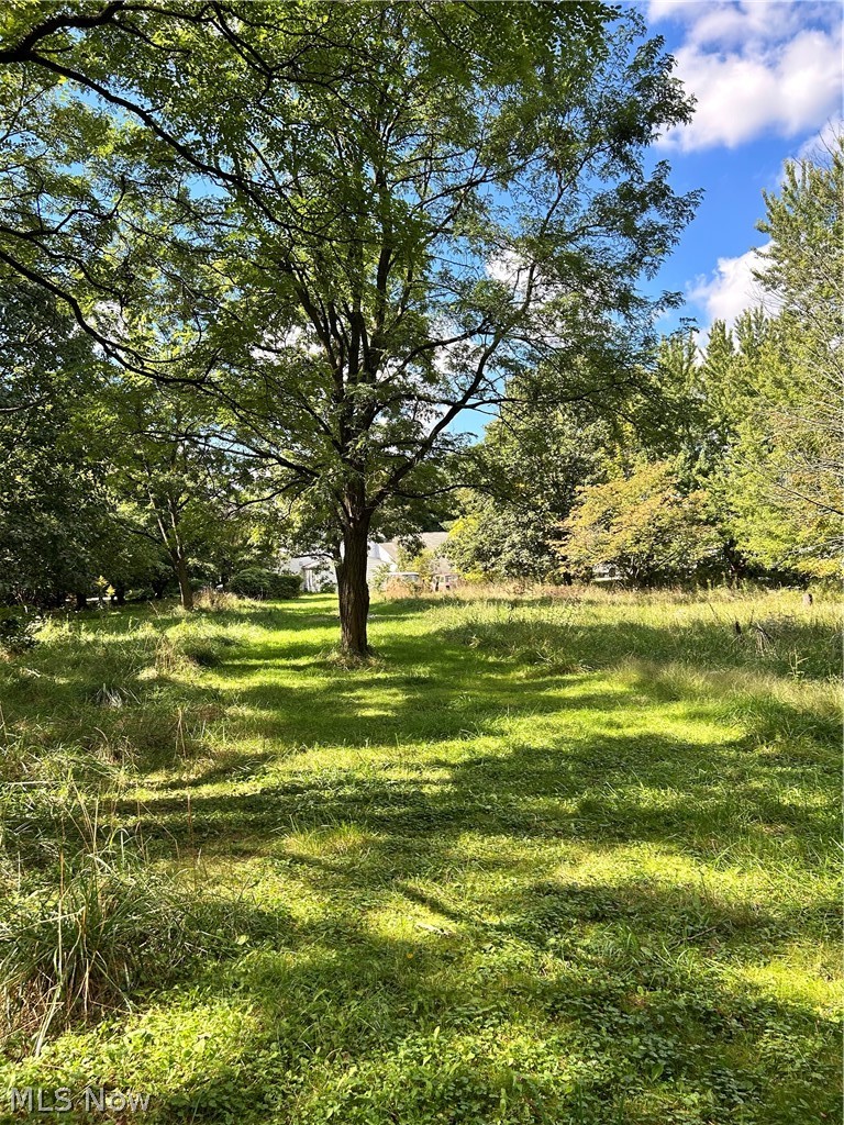 991 Marks Road Brunswick, OH 44212 - Photo 27 of 34 Expansive green space featuring mature trees and dappled sunlight