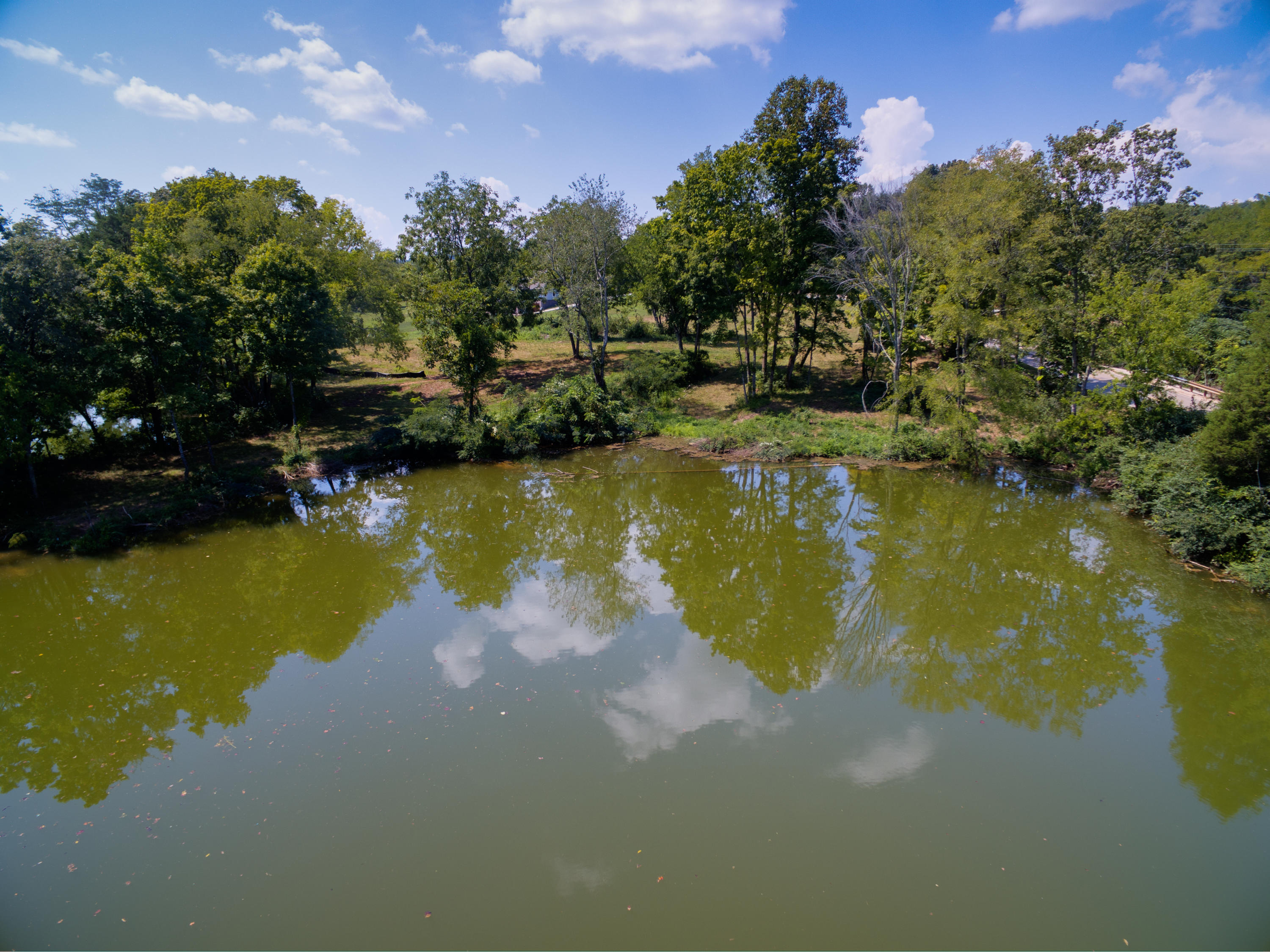 Emory Church Road Knoxville, TN 37922 - Photo 6 of 19 DJI_0071_2_3_4