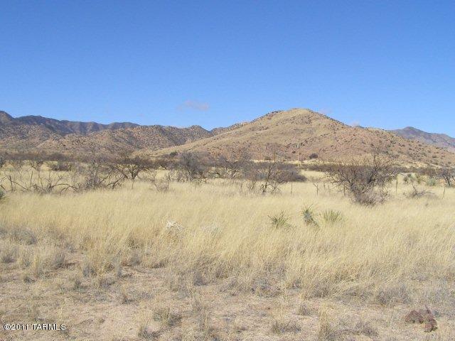 West Bryant Road Pearce, AZ 85625 - Photo 3 of 14