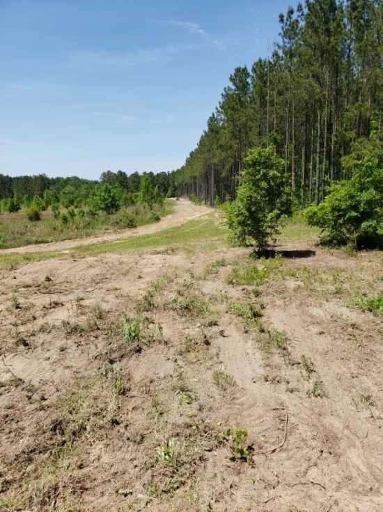 1731 Snellbridge Road Adrian, GA 31002 - Photo 1 of 1 Gallery Image 1