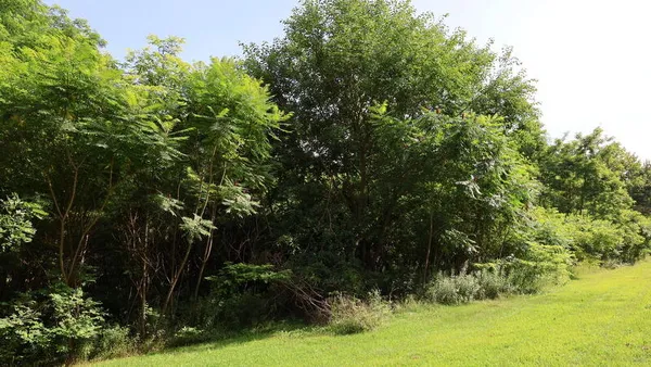 $69,000 | 30879 Highway 60, Leonidas, MI 49066