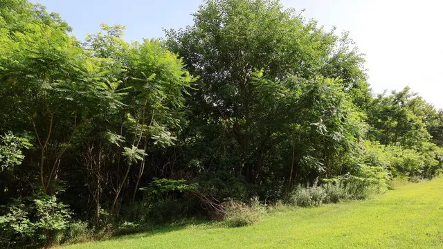 $69,000 | 30879 Highway 60, Leonidas, MI 49066