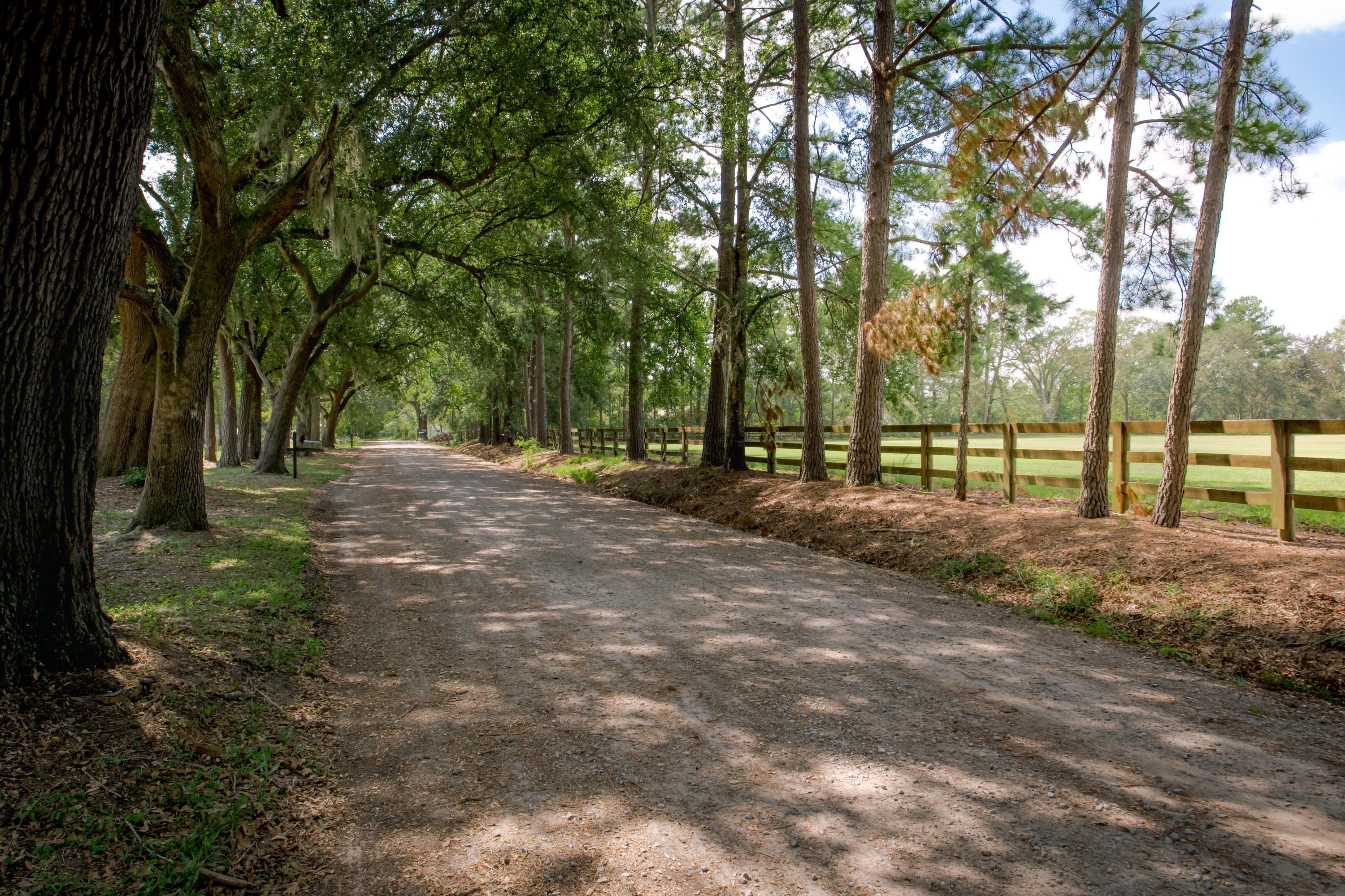 6830 Davis Road Ravenel, SC 29470 - Photo 1 of 46 6830 Davis Rd_High Res-19