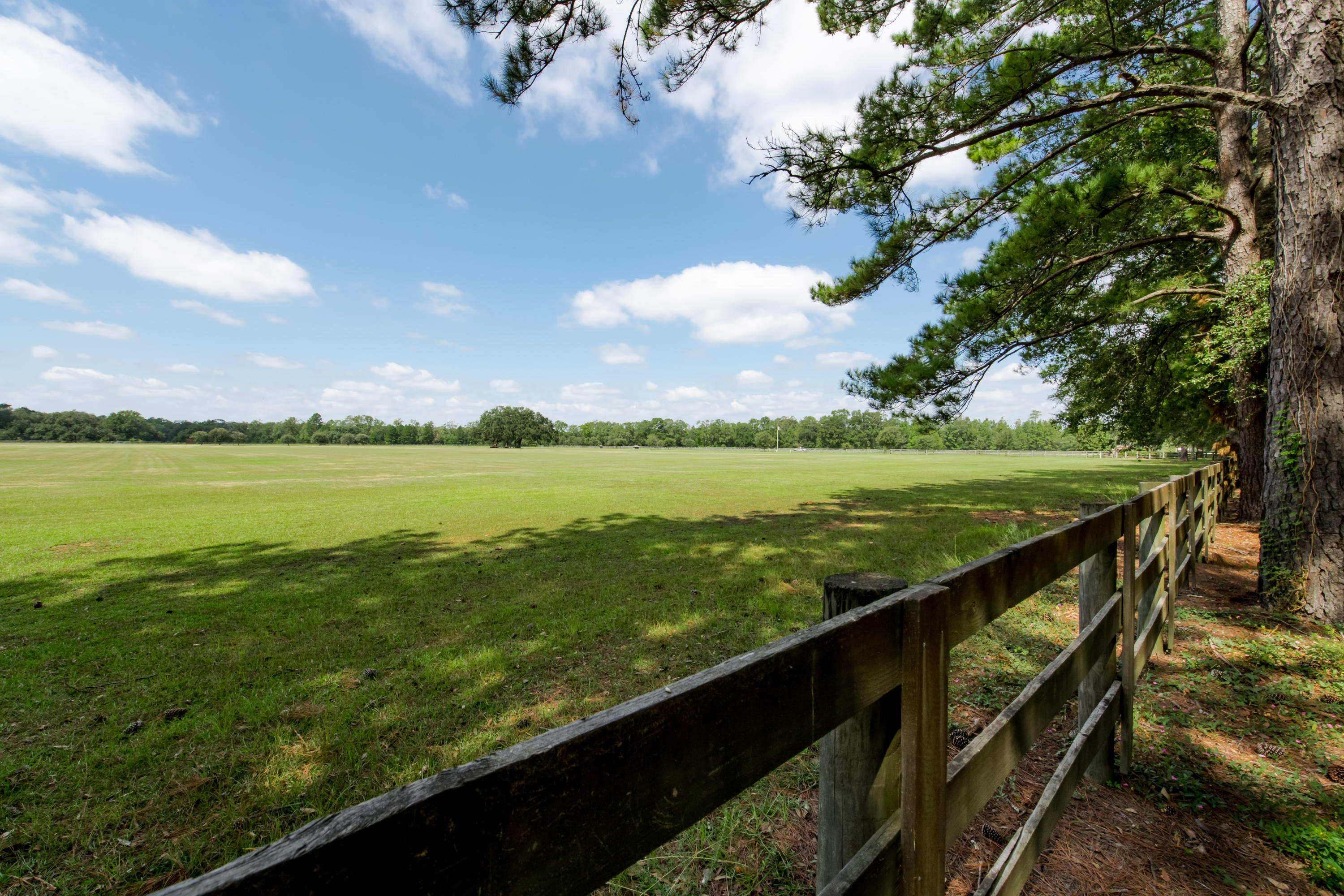 6830 Davis Road Ravenel, SC 29470 - Photo 13 of 46 6830 Davis Rd_High Res-22