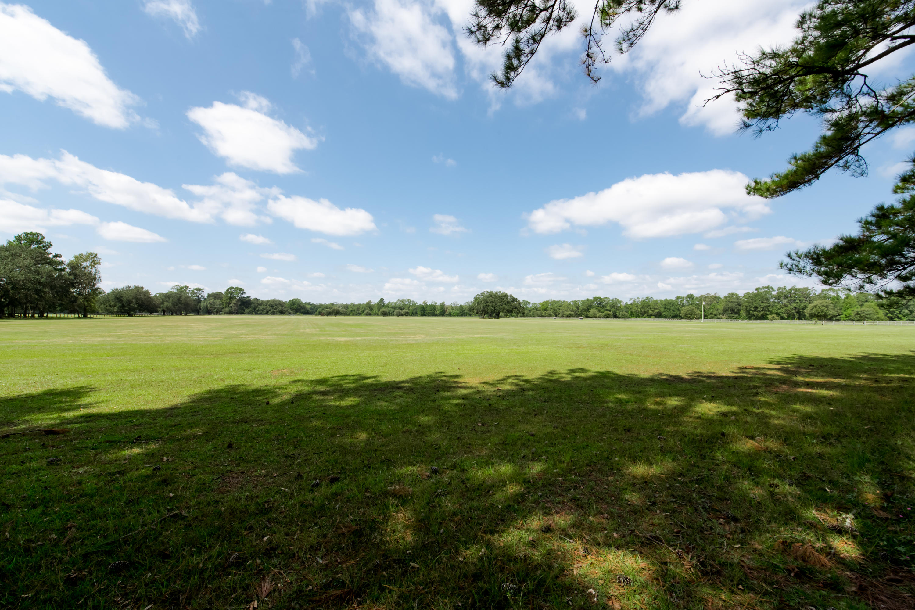 6830 Davis Road Ravenel, SC 29470 - Photo 14 of 46 6830 Davis Rd_High Res-21