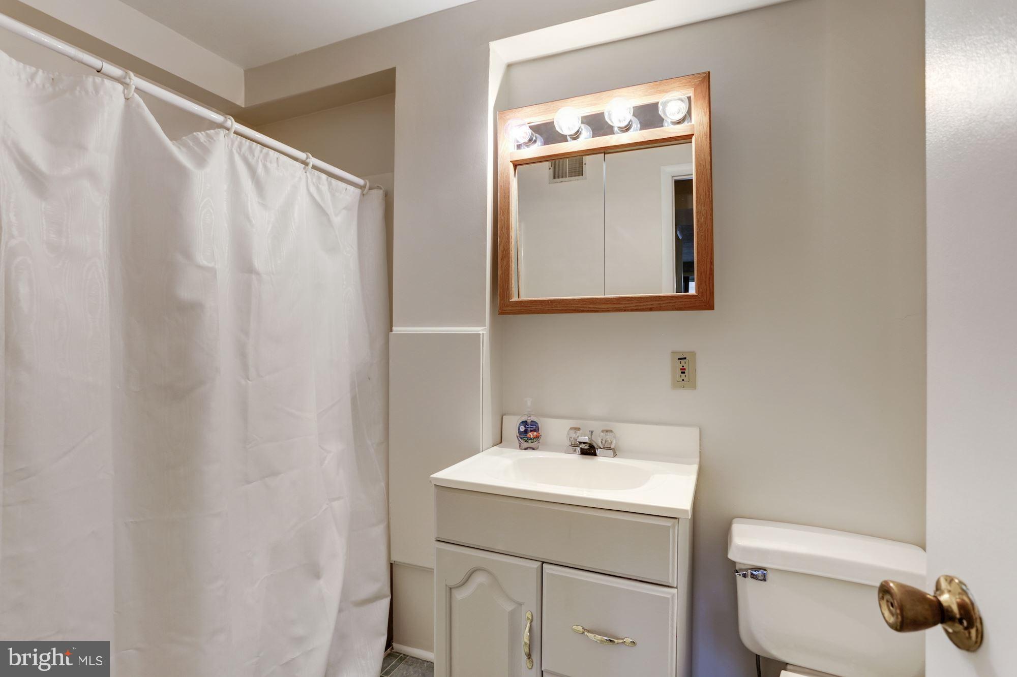 7250 Riding Hood Circle Columbia, MD 21045 - Photo 22 of 30 Third Full Bath