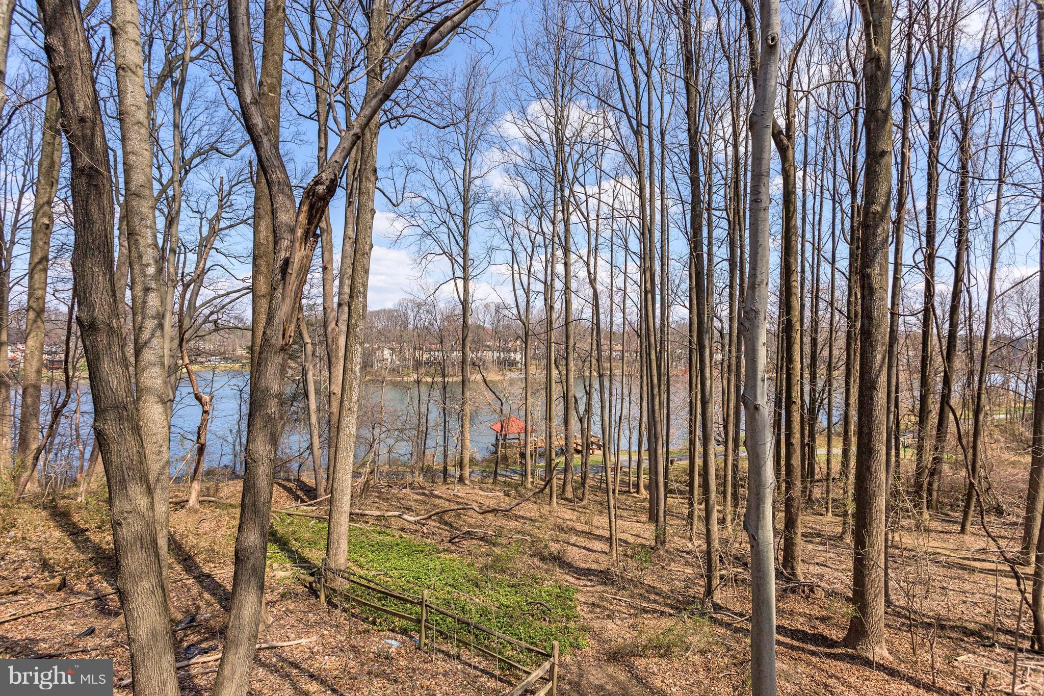 7250 Riding Hood Circle Columbia, MD 21045 - Photo 29 of 30 View from Back Deck