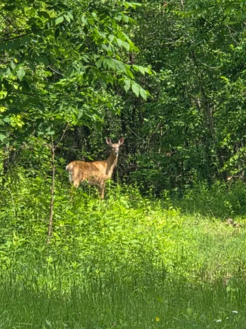 $1,060,000 | 594 River Road, Windham, ME 04062