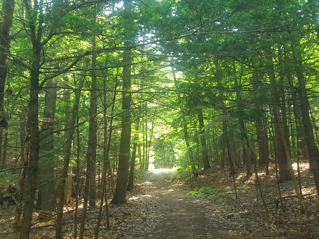 $1,060,000 | 594 River Road, Windham, ME 04062