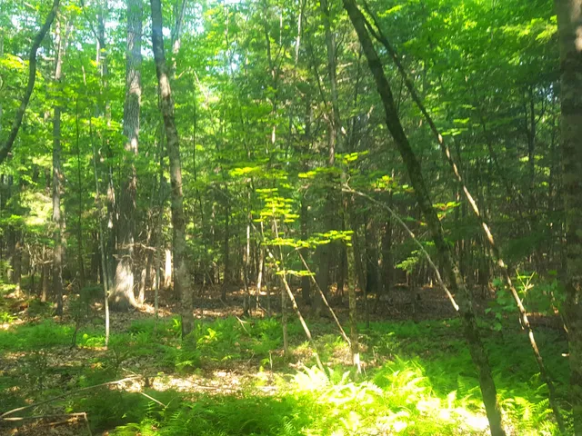 $1,060,000 | 594 River Road, Windham, ME 04062