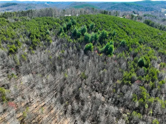 a view of a lush green forest with lots of trees