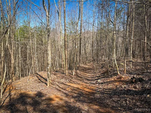 a view of wooden wall with trees in the background