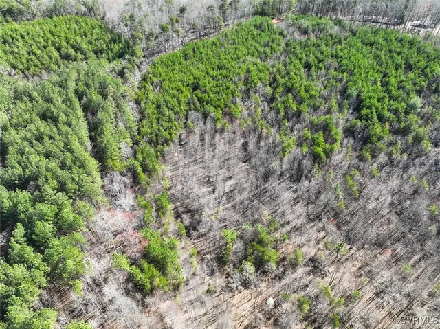 a view of a lush green forest with trees and houses