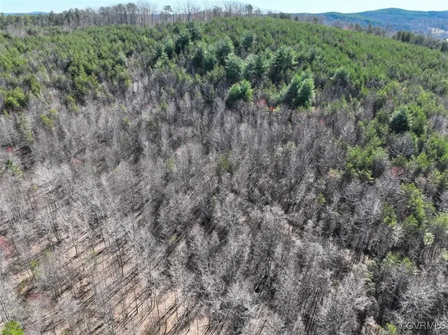 a view of city and ocean