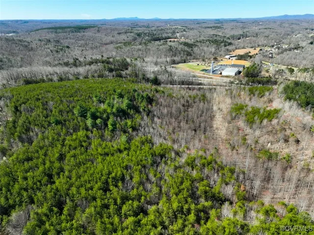 a view of a lake with a mountain and trees