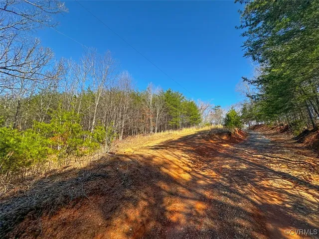 a view of a yard with a tree