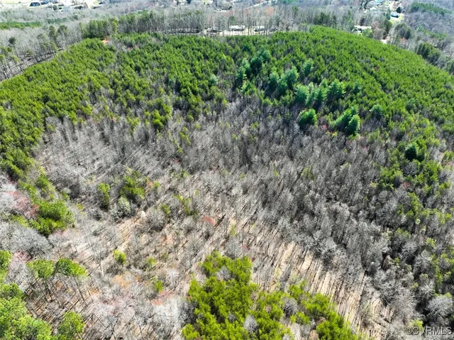 a view of a garden with plants