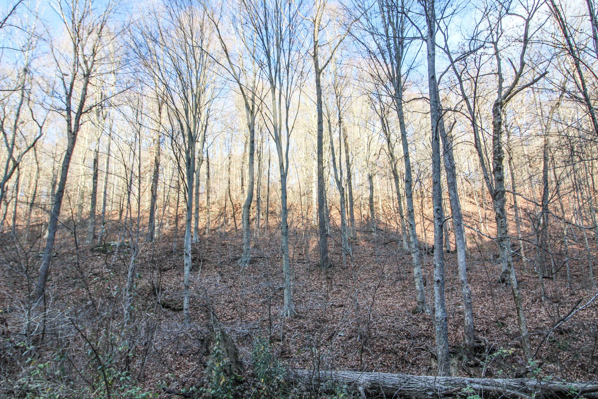35335 Paw Paw Road, Unit R Lower Salem, OH 45745 - Photo 28 of 43 IMG_5636
