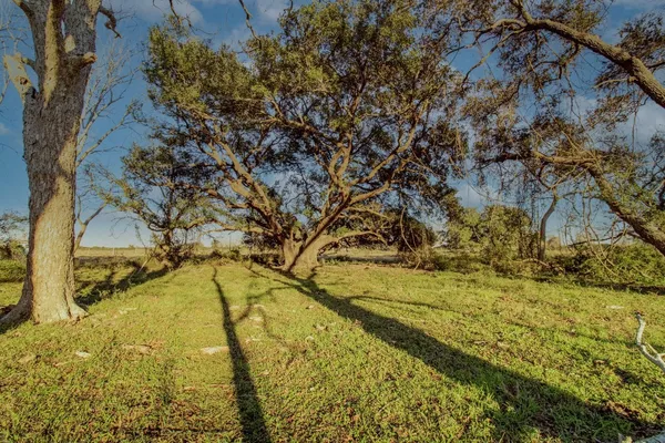 $592,500 | 443/446 County Road 443, Lolita, TX 77971