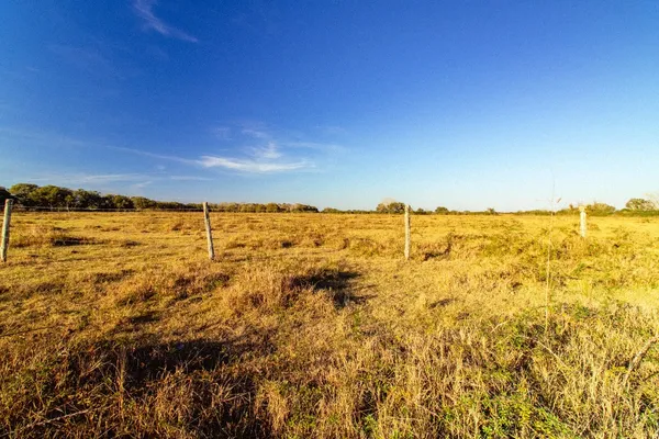 $592,500 | 443/446 County Road 443, Lolita, TX 77971