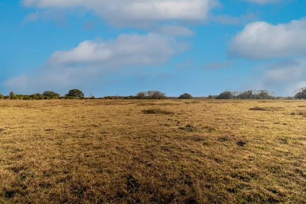 $592,500 | 443/446 County Road 443, Lolita, TX 77971