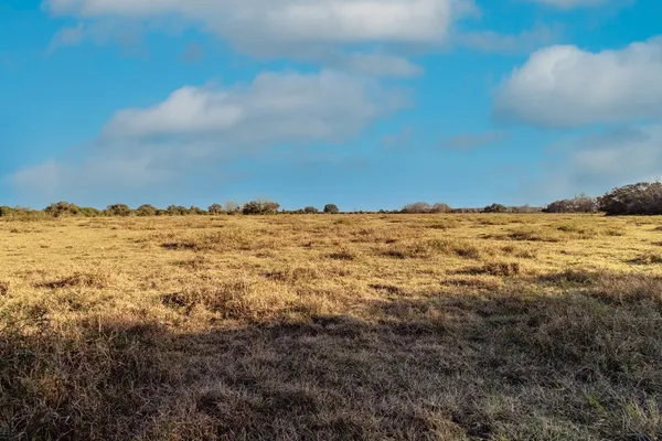 $592,500 | 443/446 County Road 443, Lolita, TX 77971