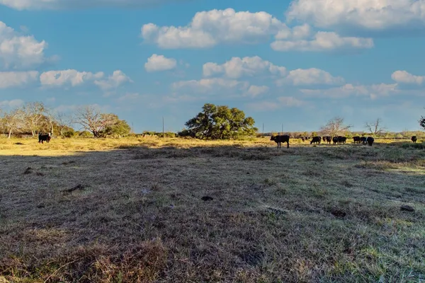 $592,500 | 443/446 County Road 443, Lolita, TX 77971