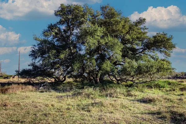 $592,500 | 443/446 County Road 443, Lolita, TX 77971