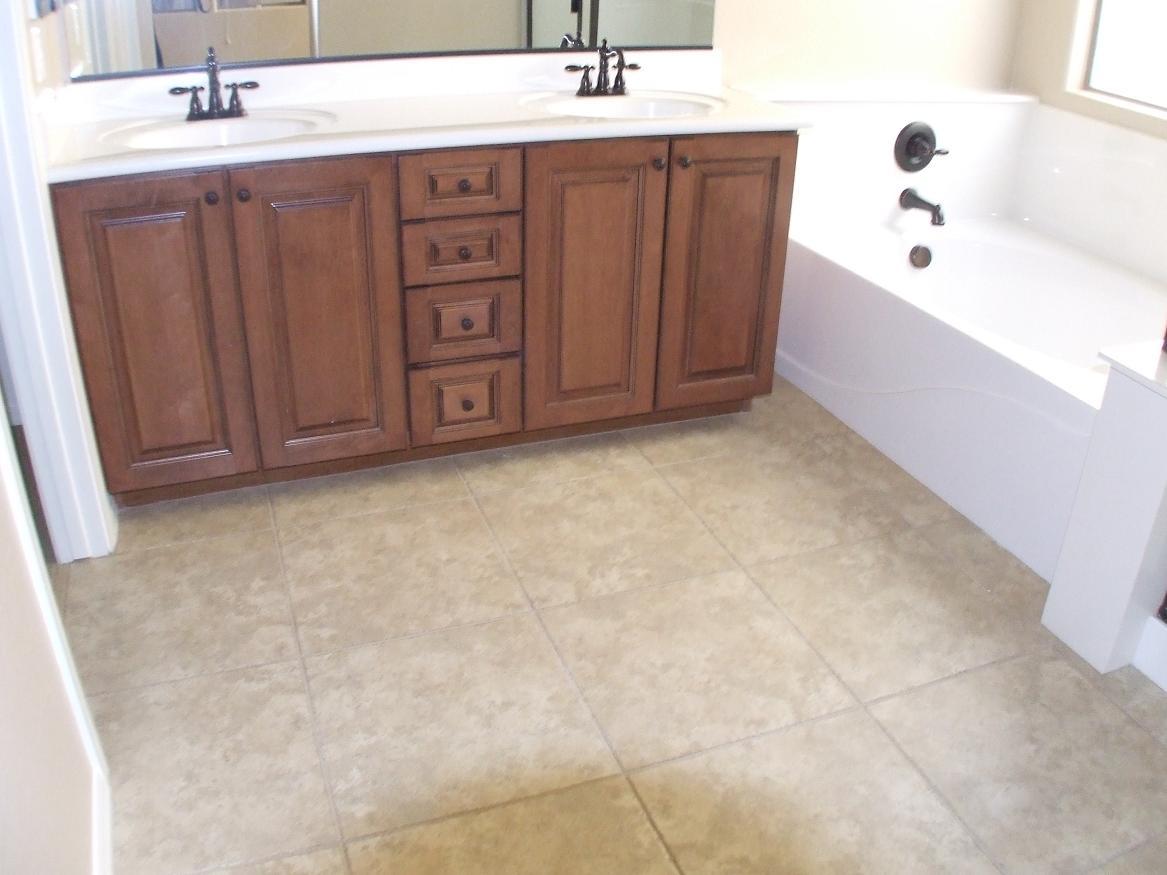 15324 West Charter Oak Road Surprise, AZ 85379 - Photo 15 of 20 master bath