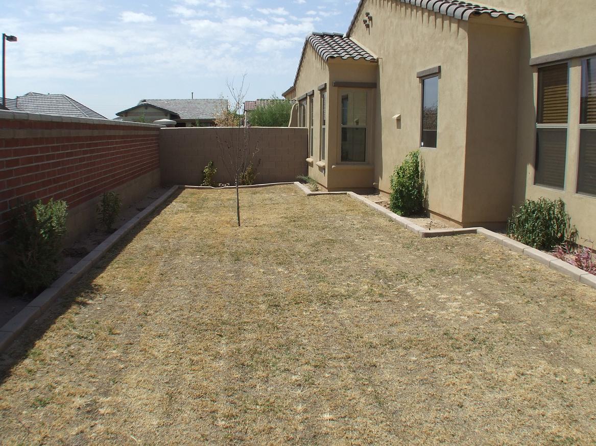 15324 West Charter Oak Road Surprise, AZ 85379 - Photo 17 of 20 Yard