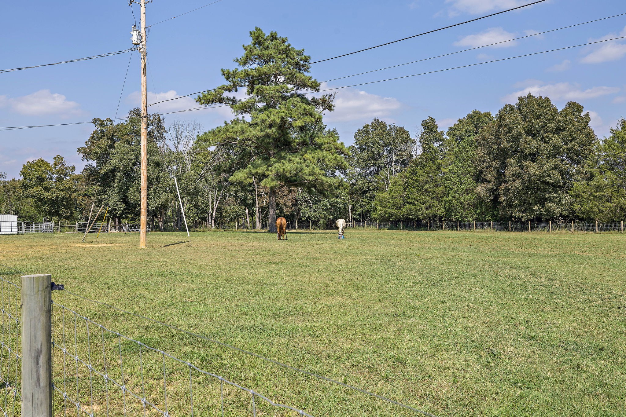 1484 Finley Beech Road Lewisburg, TN 37091 - Photo 56 of 69 Gallery Image 56