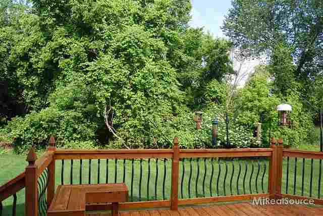 823 Snowmass Drive Rochester, MI 48309 - Photo 22 of 22 31154282-21.JPG