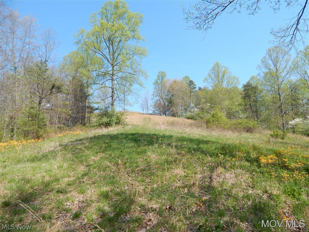 0 Hulderman Ridge Harrisville, WV 26362 - Photo 8 of 18 Gallery Image 8