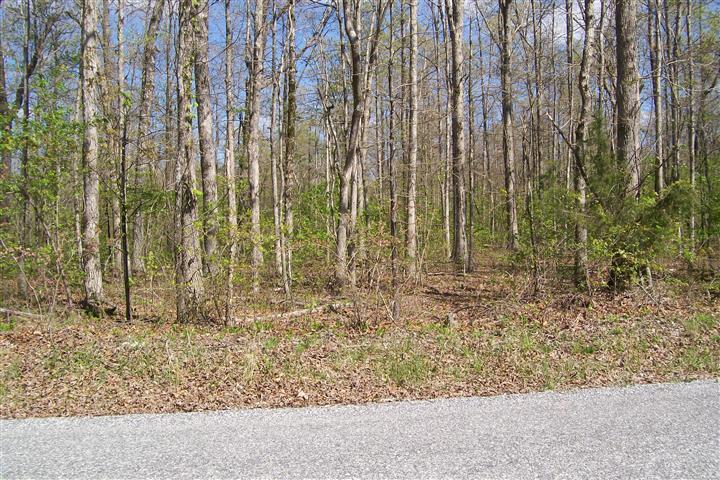 1678 Yoder Road Altamont, TN 37301 - Photo 1 of 2 Gallery Image 1