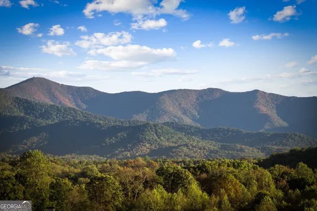 $1,195,000 | 115 Bramshaw Court, Young Harris, GA 30582