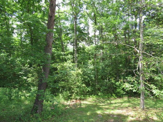 1235 Sloans Valley Road Burnside, KY 42519 - Photo 6 of 25 Gallery Image 6