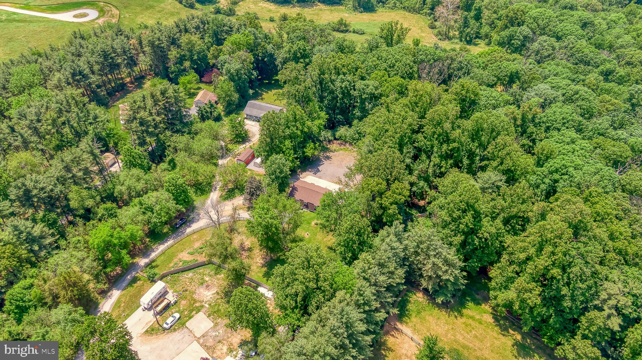 305 Crowl Road Westminster, MD 21158 - Photo 42 of 55 a view of a lush green forest with lots of trees