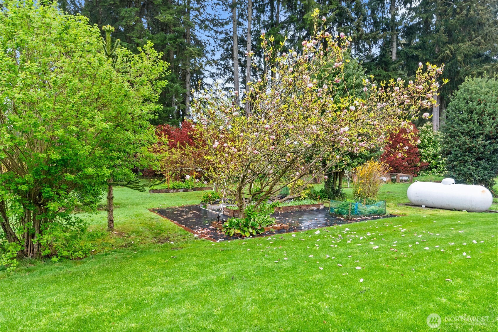 18437 Elderberry Street Southwest Rochester, WA 98579 - Photo 26 of 38